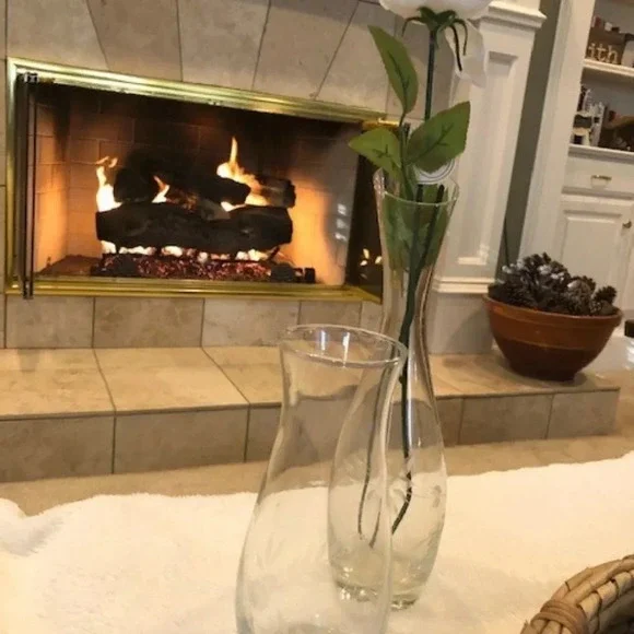 Set 2 etched glass vases‎
