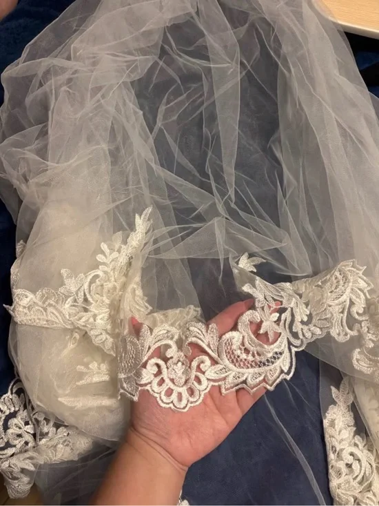 Ivory Lace Embroidered Bridal Veil