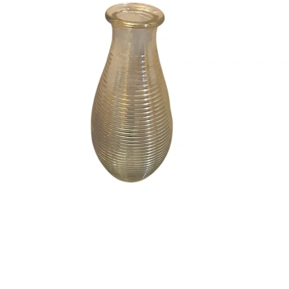Clear Iridescence Glass Vase