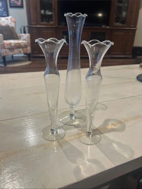 Clear Glass Bud Vases Set by