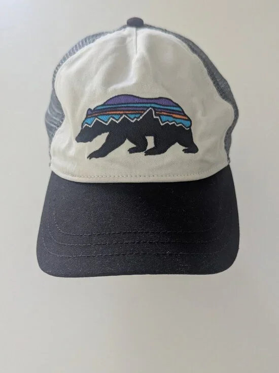 Patagonia - women's ball cap