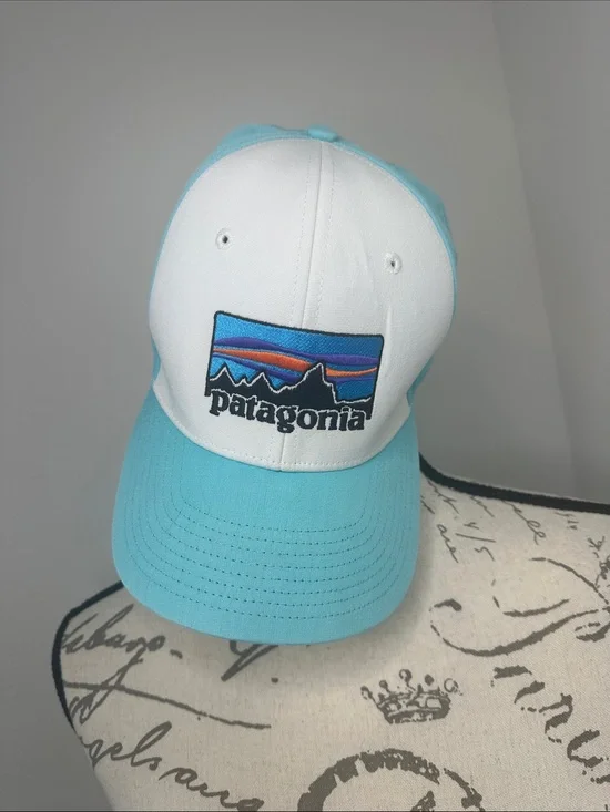 Patagonia White & Aqua Blue Trucker Cap with Mountain Patch