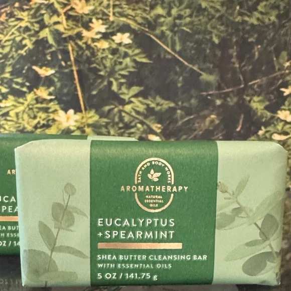 2 Bath & Body Works Aromatherapy Eucalyptus Spearmint Shea Butter Cleansing Bars