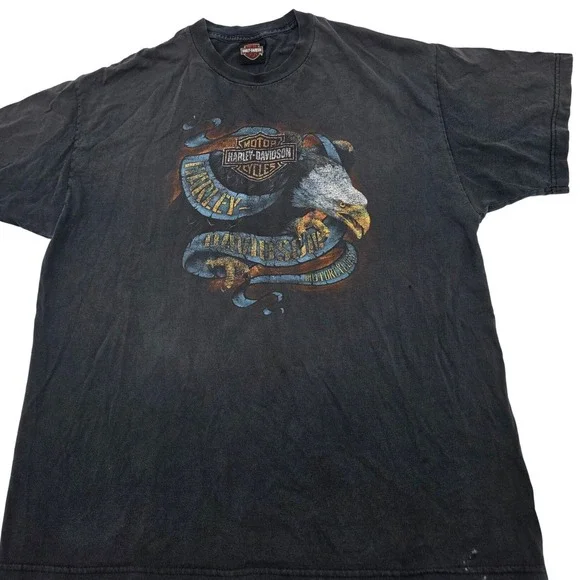 Distressed Harley-Davidson T-Shirt Mens XL Black Rocky Top Eagle Graphic Vintage