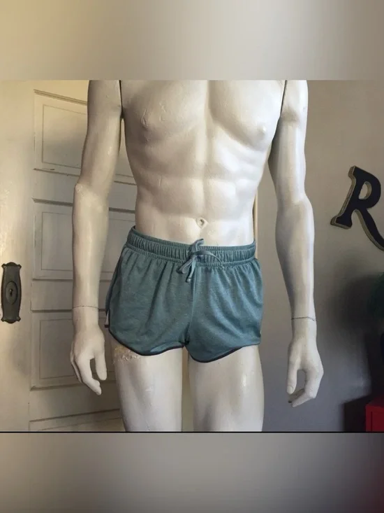 Authentic American Heritage short shorts