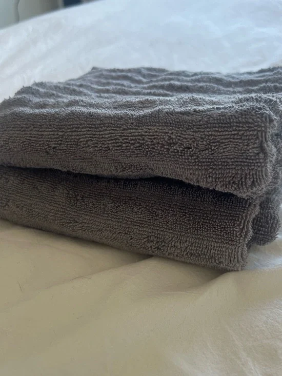 Set of 2 Threshold Gray Plush Cotton Hand Towels