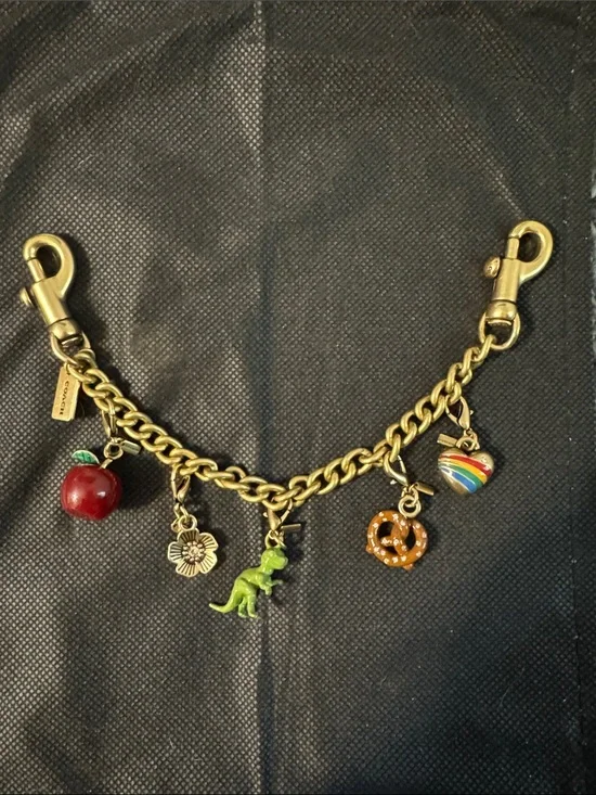 Coach DIY bag charm-like new