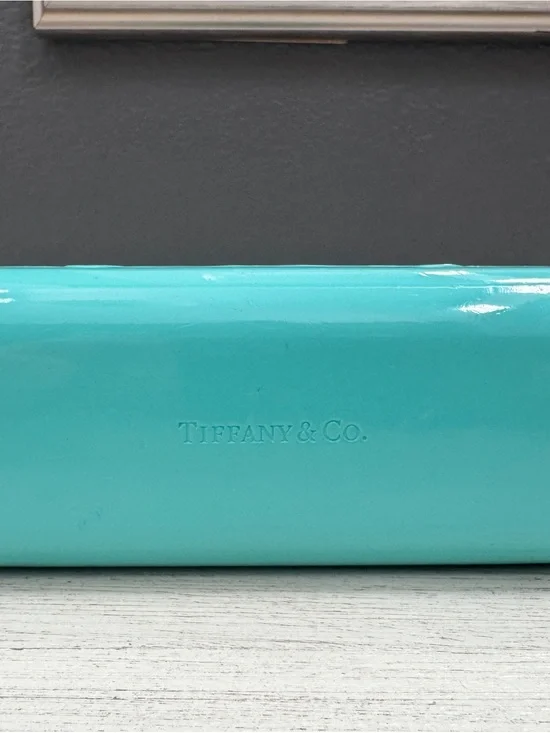 Robin's Egg Blue Sunglasses Case