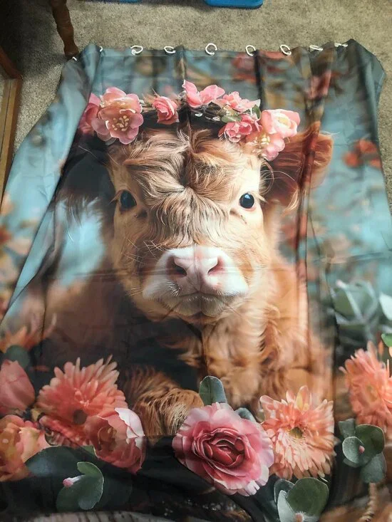 Highland Cow Shower Curtain - Little Used - 72