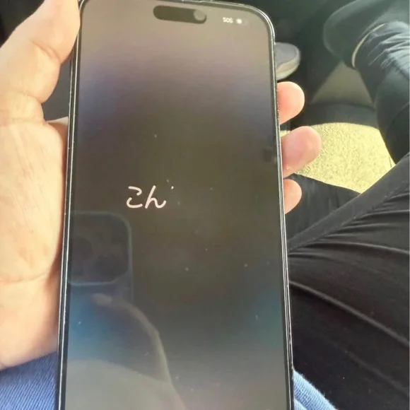 iPhone 14 Pro max
