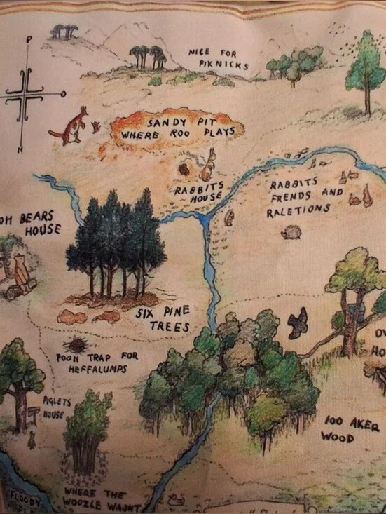 Vintage Winnie the Pooh Map Pillow Cover Illustrated Hundred Acre Wood 17