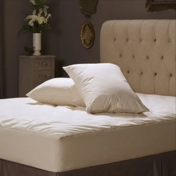 2 AllerEase Allergy Relief Organic Cotton Cover Allergy Protection King Pillows