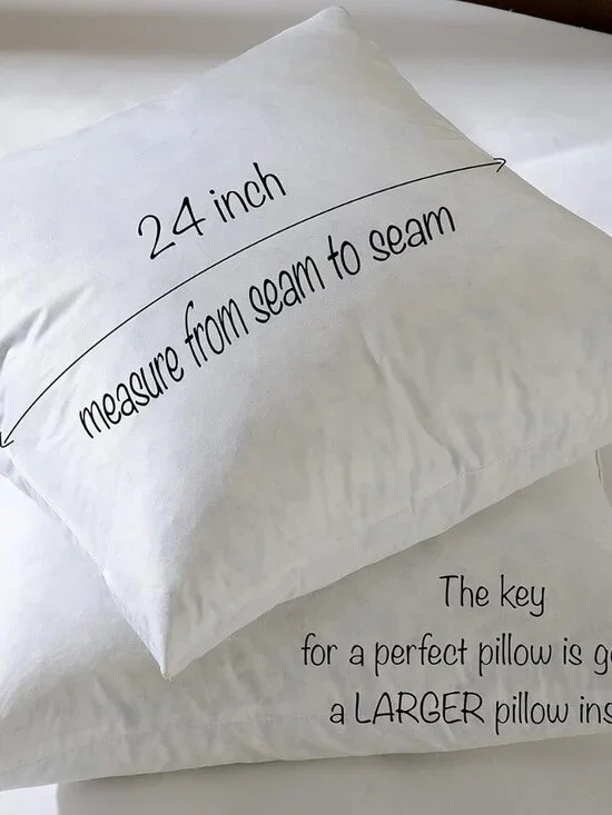 Pair 24x24 Goose Feather Down Euro Pillow Inserts