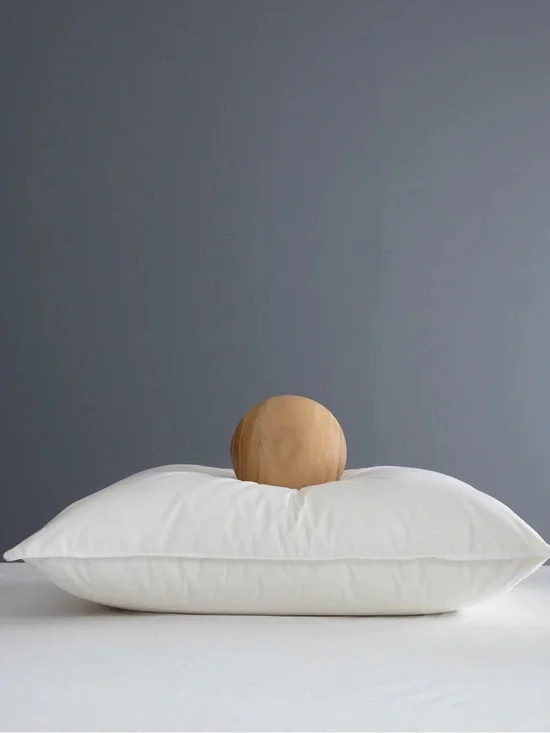 New Quince Premium Down Pillow #2 Standard Firm MSRP $114