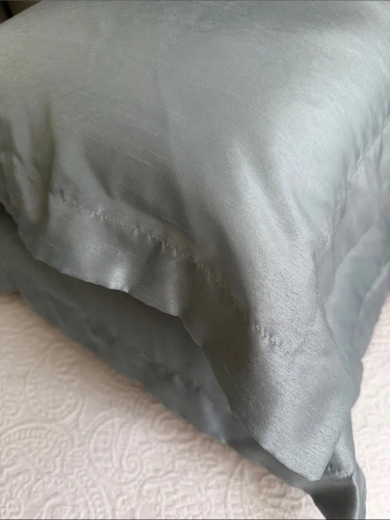 2 Pillows in Turquoise up Shine Cases brown button
