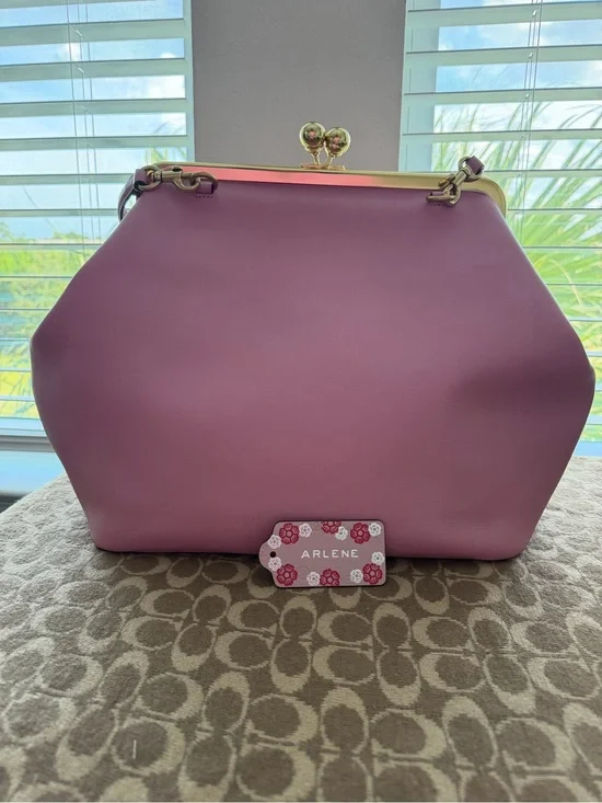 NWT Large Kisslock Frame Bag CBR51