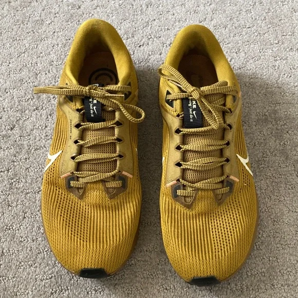 Nike Pegasus 40 Bronzine running sneakers, Sz 10.
