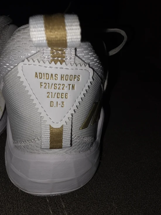 Adidas Hoops White & Gold Basketball Shoe