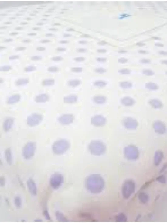 Pottery Barn Kids Lavender Polka Dot 2 Twin Pillow Case