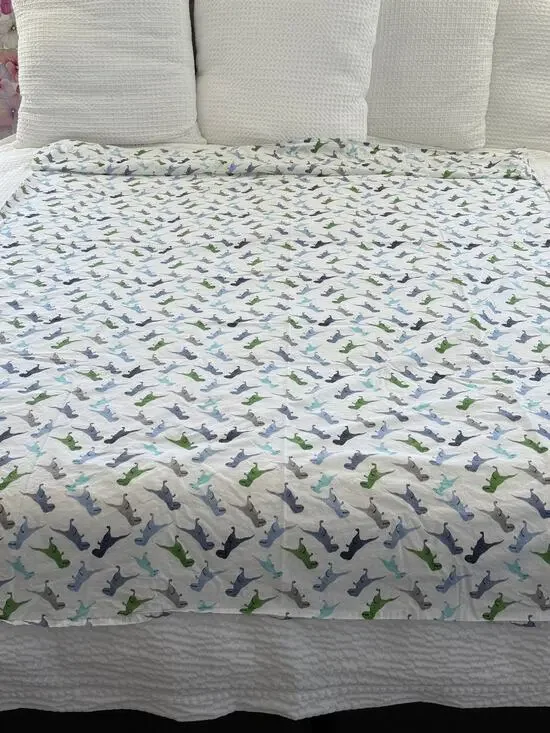 Pottery Barn Kids Dinosaur Twin Flat Sheet Organic Cotton Dino Bedding Child