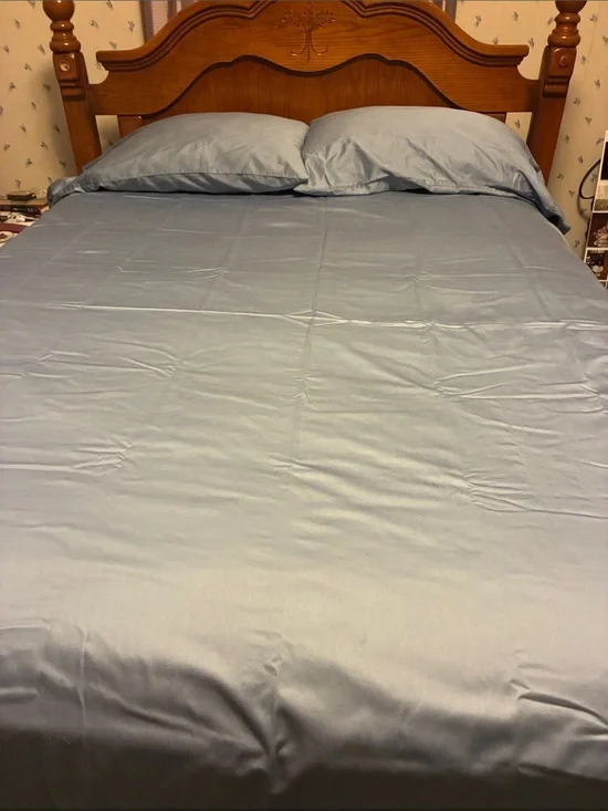 Light Blue Bed Sheet Set - Soft Cotton-Like Bedding