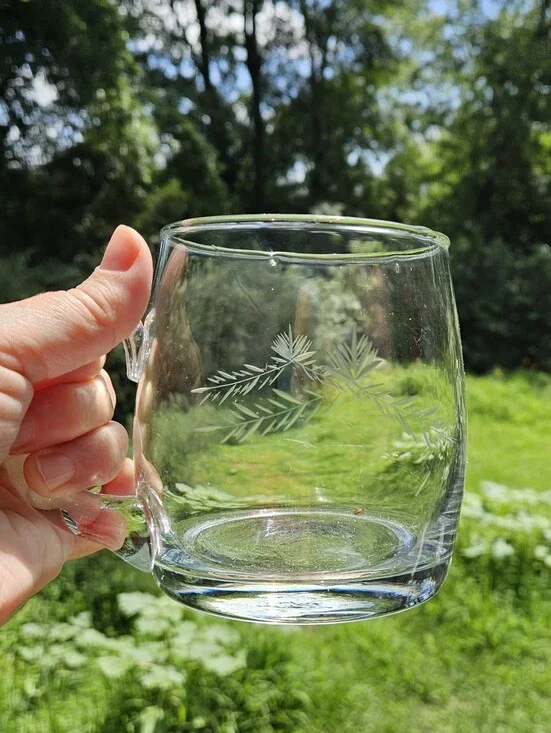 Etched Clear Glass Mug with Etched Branch Design Large Beer Mug