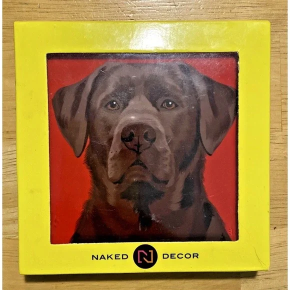 Naked Decor Chocolate Black Lab Labrador Coaster Set NEW in Box