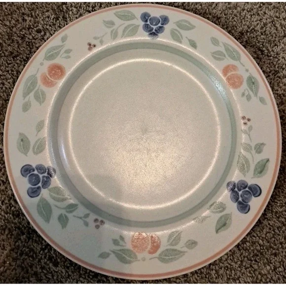 Pfaltzgraff USA GARDEN GROVE‎ Dinner Plates 10 1/2