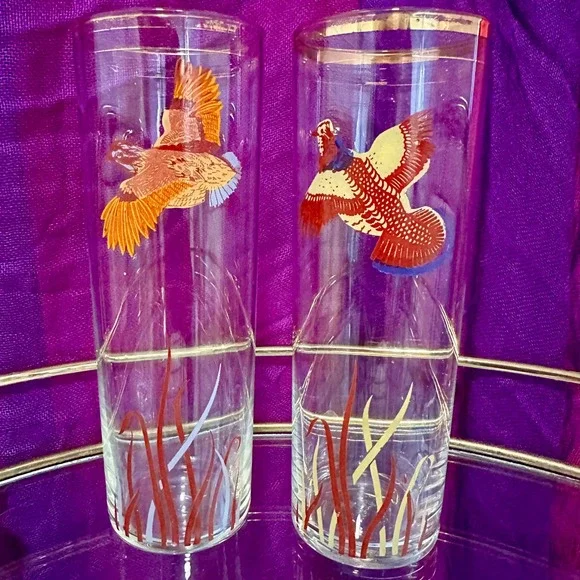 Vintage 1950s–1960s Pheasant Highball Glasses‎ Set of 2 Mid Century Fall Barware