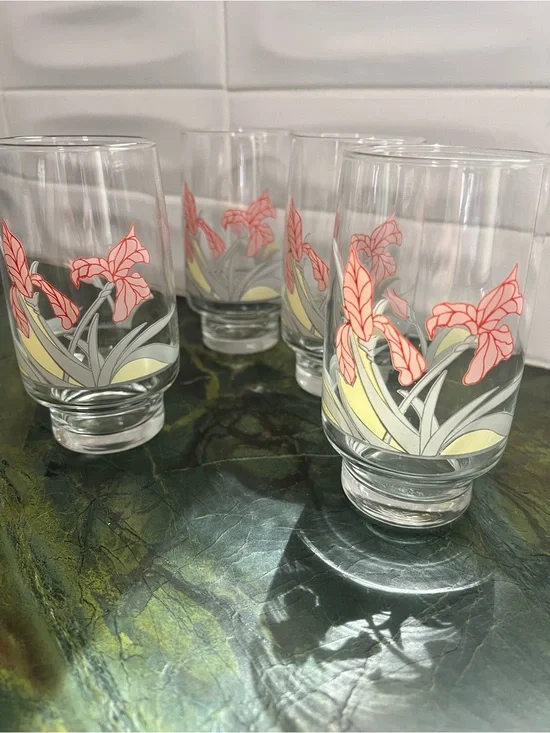 Vintage Diana iris glasses  Set~4 drinkware   1970s pink floral glass tumblers
