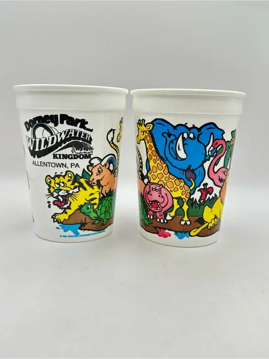 2 Vintage Dorney Park & Wildwater Kingdom Amusement Park  1991 Plastic  Cups