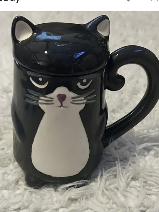 Rare Feline streamline Grumpy Mornings Cat Mug with Lid
