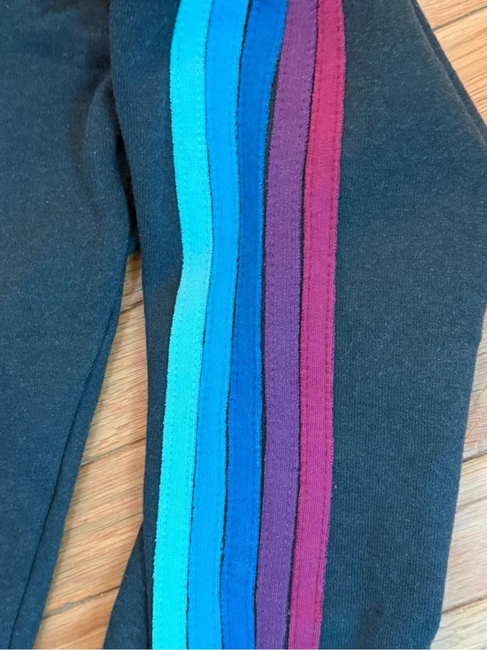 *Discontinued* Aviator Nation side stripe sweatpants Adult Xs.