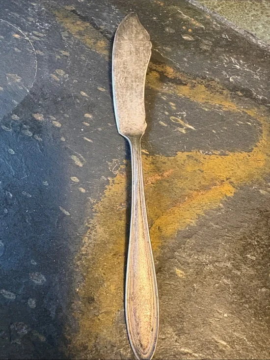 Vintage Silvertone Butter Knife - Oneida