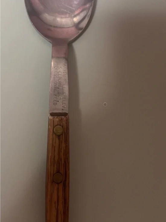 Professional Stainless Serving Spoon with Wooden Handle - Brown