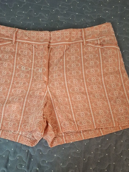 Loft Outlet Embroidered 4 Inch Women's Shorts Size 6