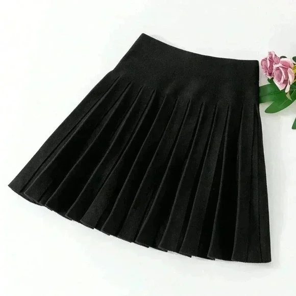 Black Casual Women's Mini Knit Skirt
