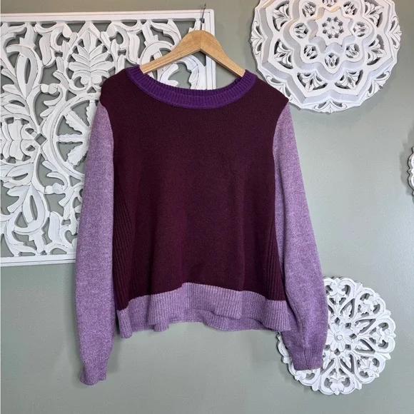 Lane Bryant Colorblock Purples Sweater Pullover Crewneck 18/20
