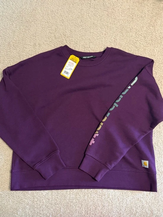 Carhartt NWT Tencel Fiber Series Loose Fit Sleeve Graphic Sweatshirt L