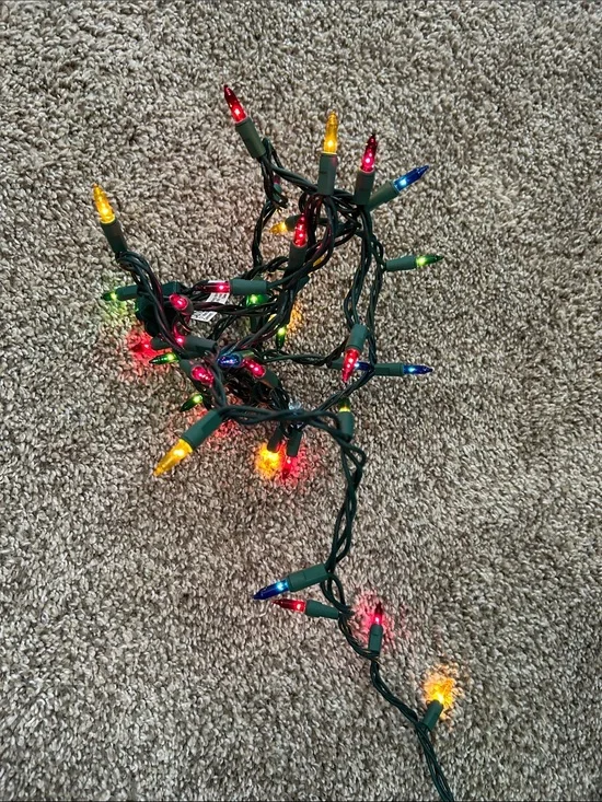 Multicolor Mini String Lights - Home Holiday