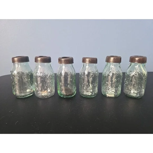 6 Miniature Mason Jar Glass Light Cover Event Light Bulb Covers Shelf Decor Farm