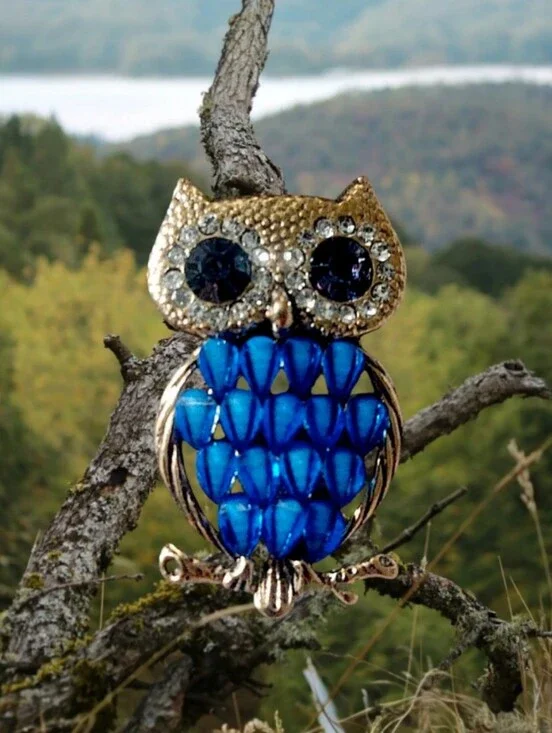 Blue Owl Brooch Pin