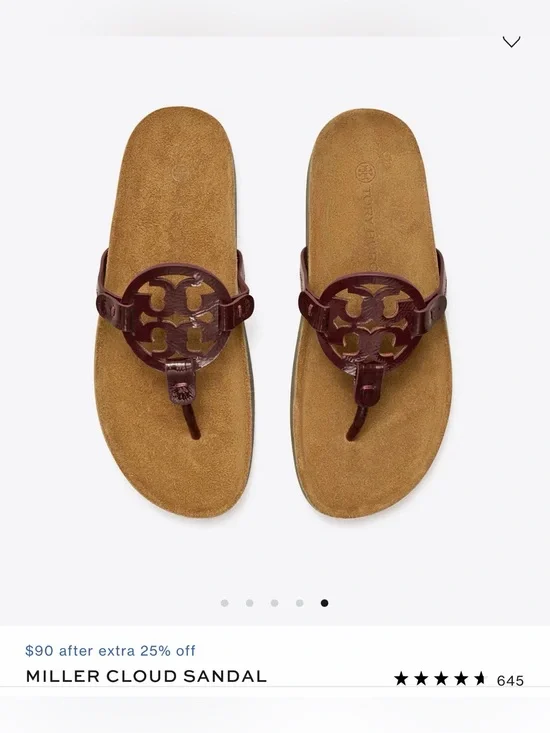 NWT Miller Cloud Thong Sandals in Brown and Burgundy