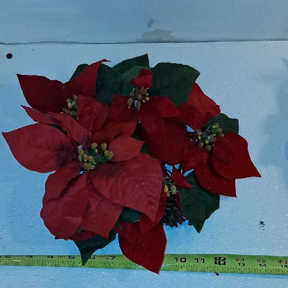 Festive Red Poinsettia Holiday Foliage 2
