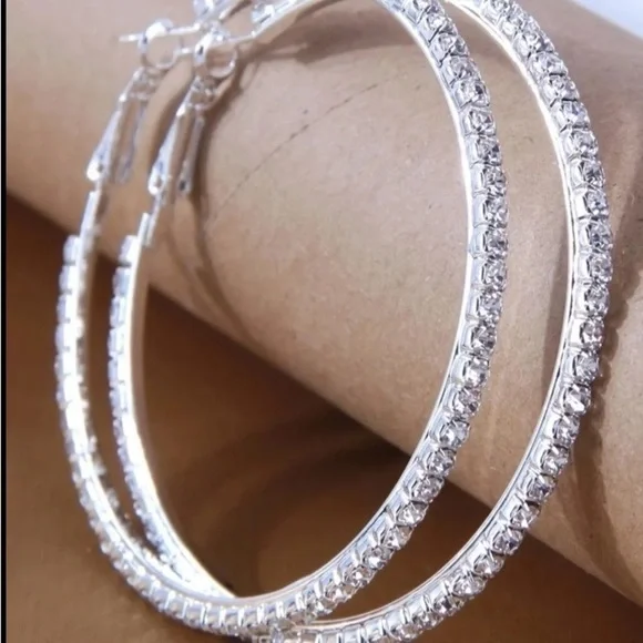 Elegant Silver Hoop Earrings
