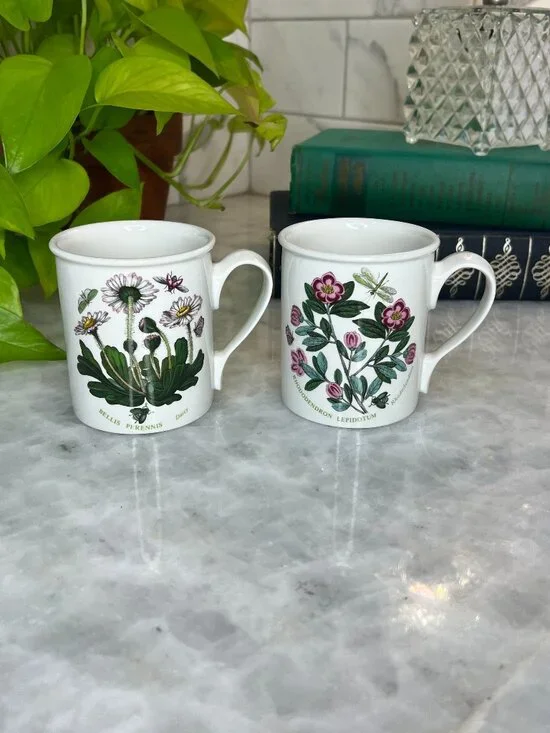 Set of 2 Portmeirion Botanic Garden‎ Beaker English Mugs - Rhododendron & Daisy