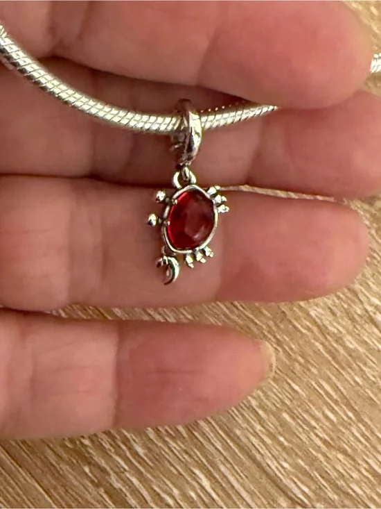 Sterling Silver Red Gem Turtle Pendant Necklace - Unbranded