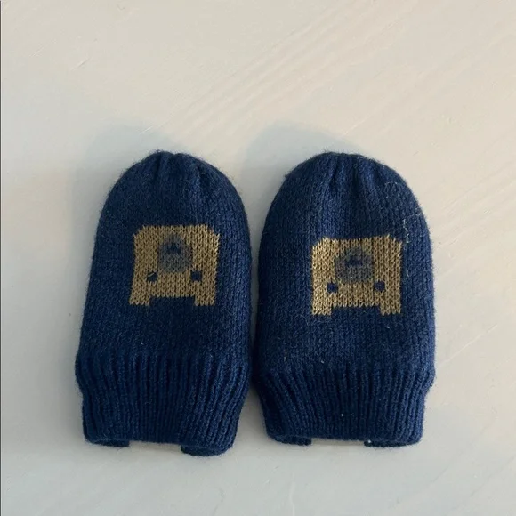 The North Face baby mittens in blue and brown