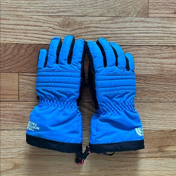 The North Face Vibrant Blue Gloves