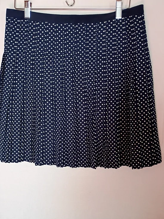 J. Crew Women's Navy and White Polka Dot Pleated Skirt Size 10